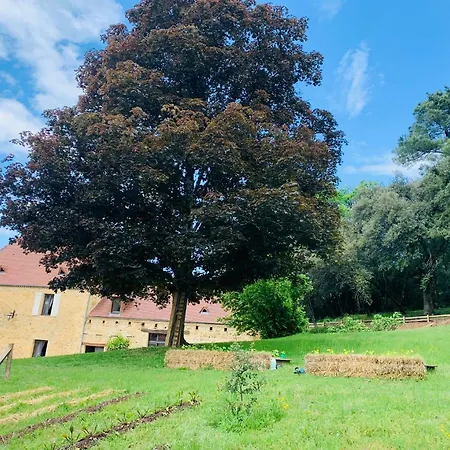 L'ecrin Des Symes Lodge