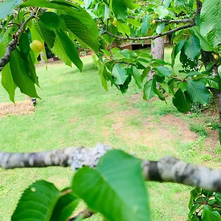 Lodge L'écrin Des Symes *