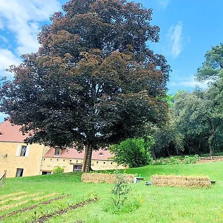 L'ecrin Des Symes Domek letniskowy Simeyrols